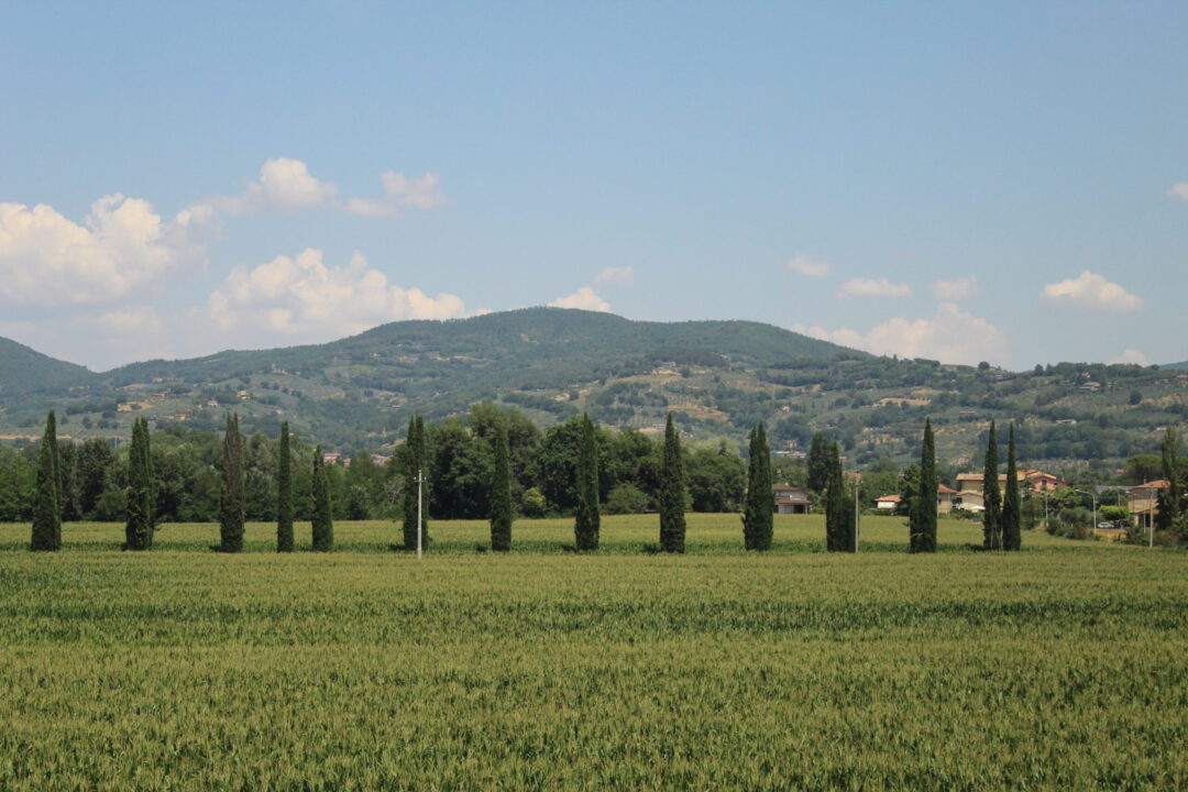 De camino por tierras italianas