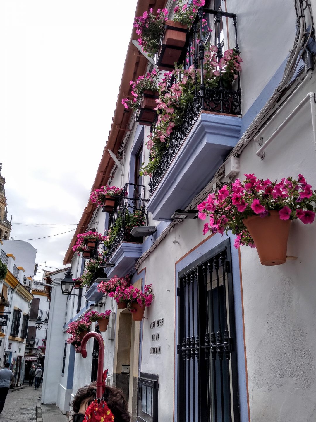 Calles del ALBAICÍN