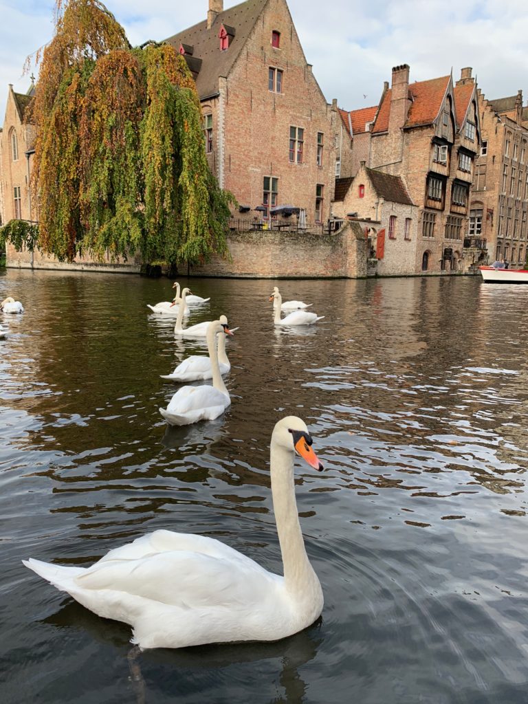 Mi rincón favorito en Brujas