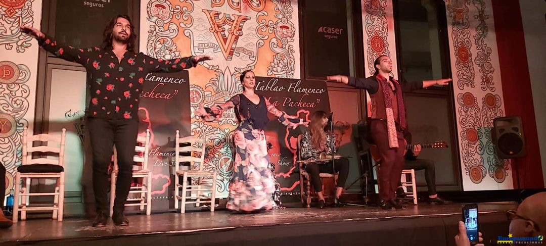 Excelente show de flamenco