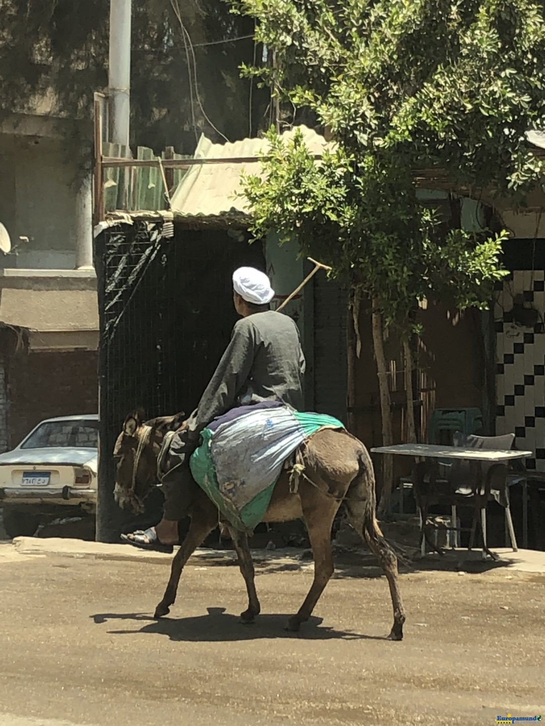 La vida en El Cairo