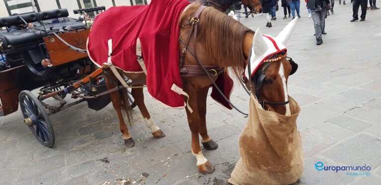 Florencia en Carruaje