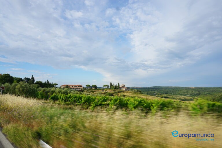 Viñedos de la Toscana