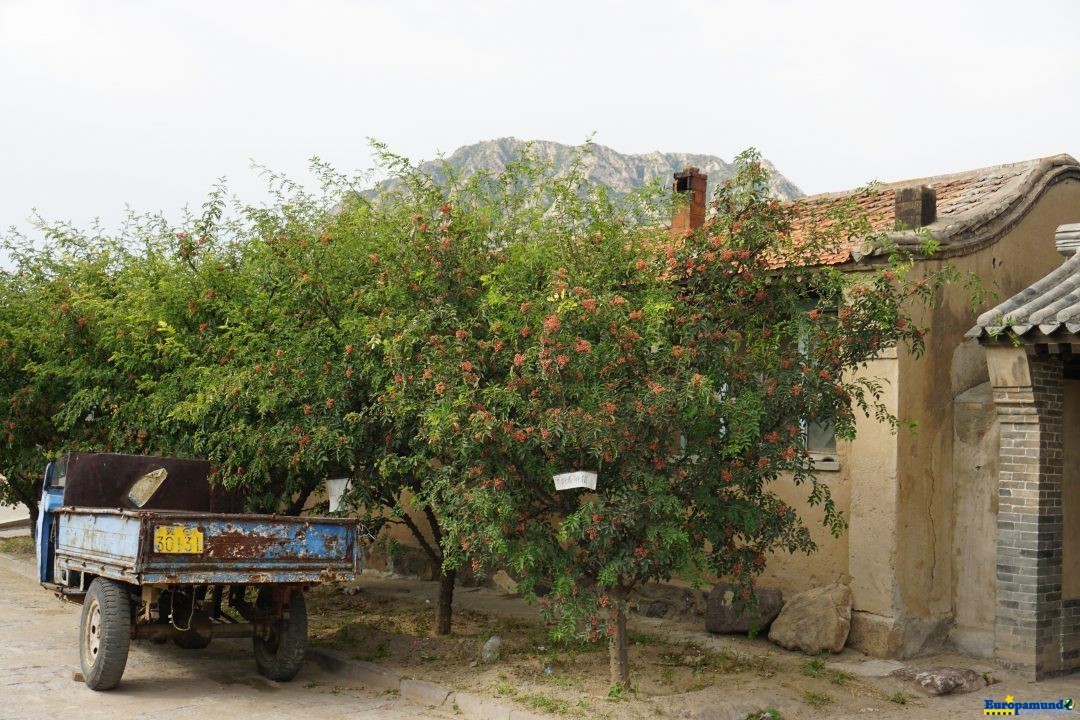 China rural