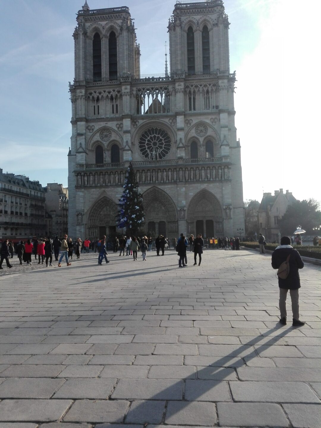 La Catedral de Notre Dame