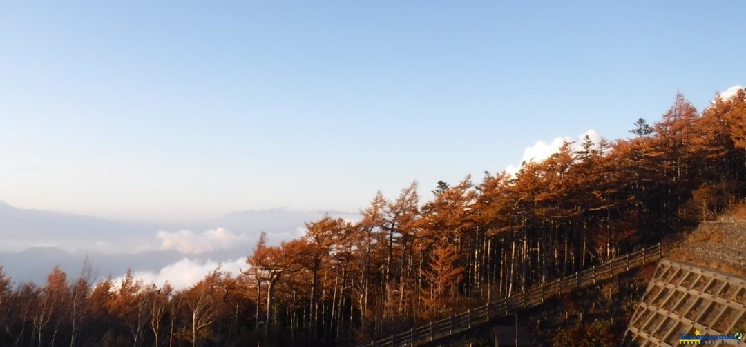Otoño en el Monte Fuji