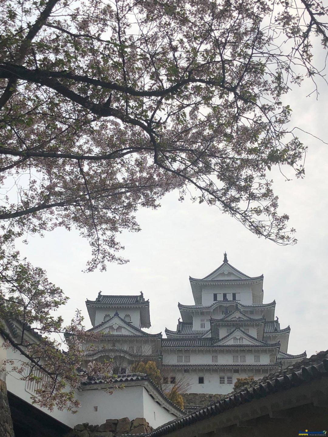 CASTILLO HIMEJI