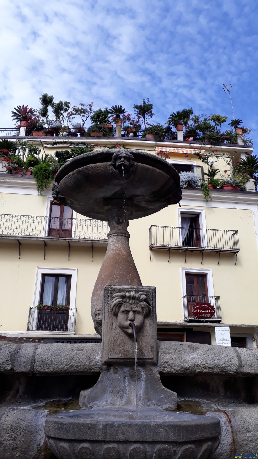 La fuente y las flores