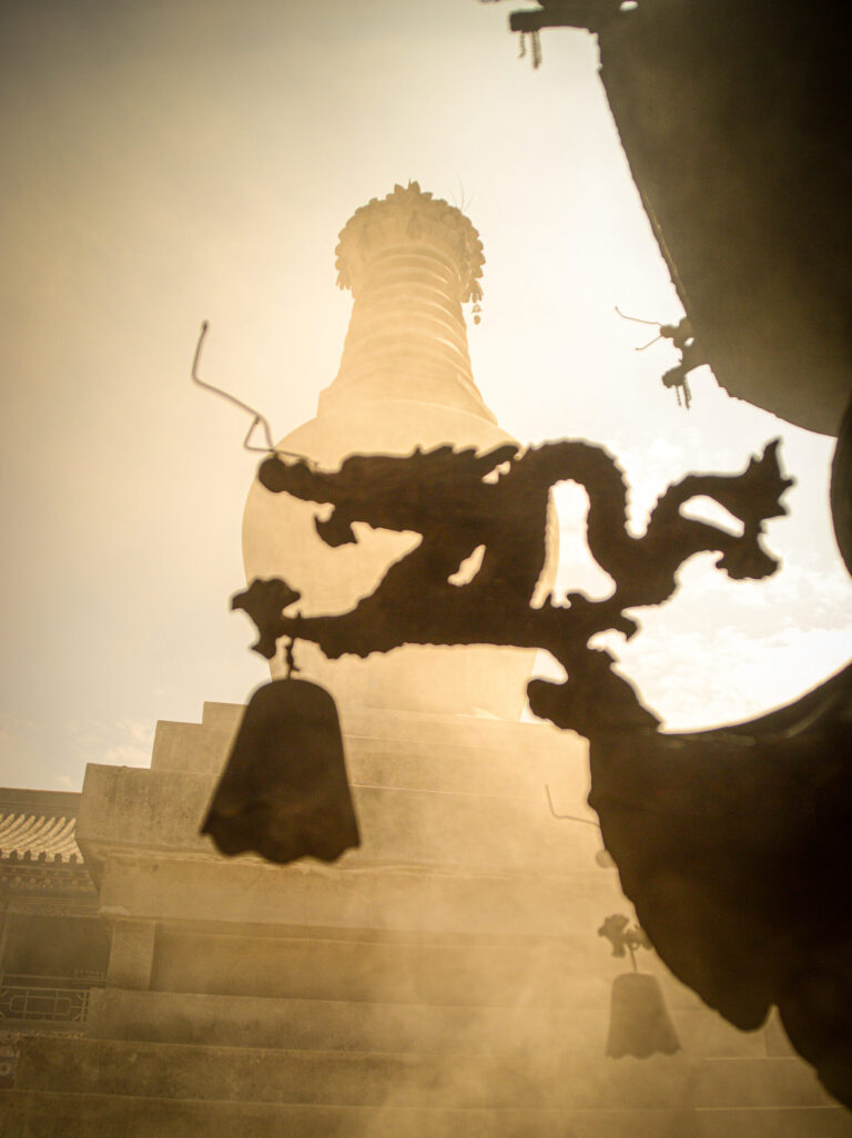 La Estupa y el Dragon