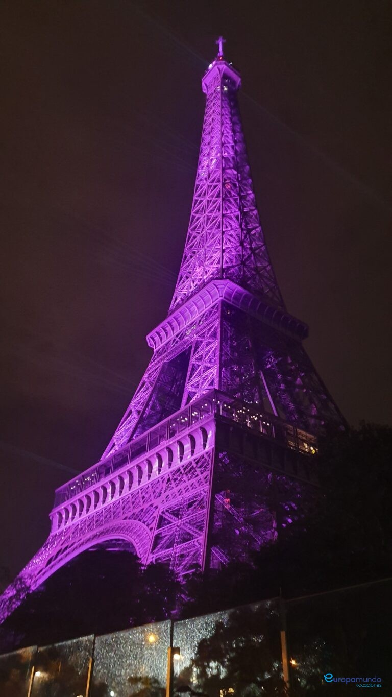 TORRE EIFFEL DE ROSA