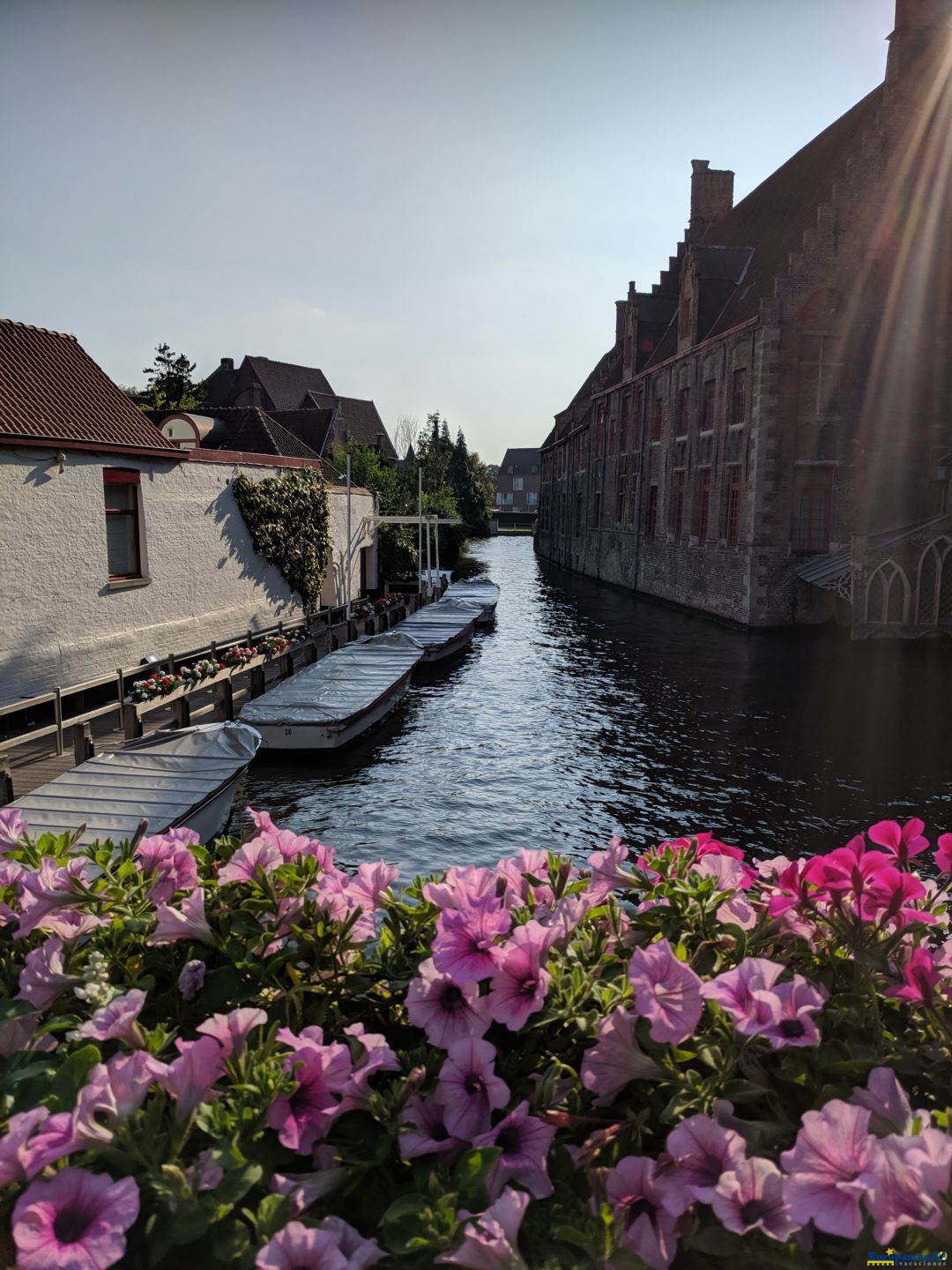 Entre Canales en Brujas, Belgica