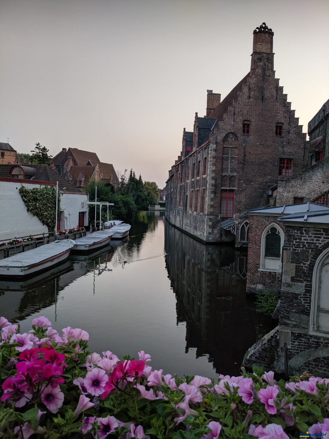 Flores y Canales  en  Brujas Belgica