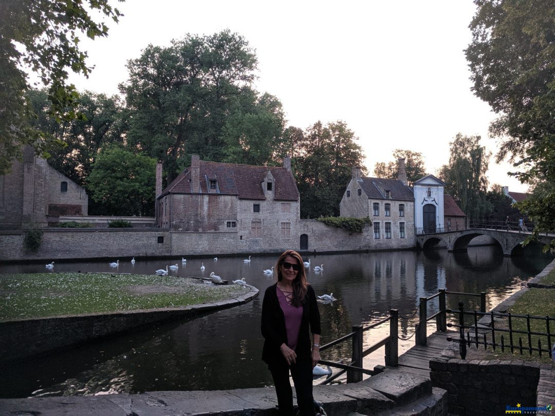 Paisaje entre patos en Brujas Belgica