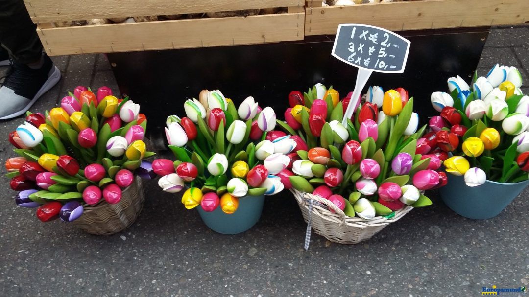 Tulipanes