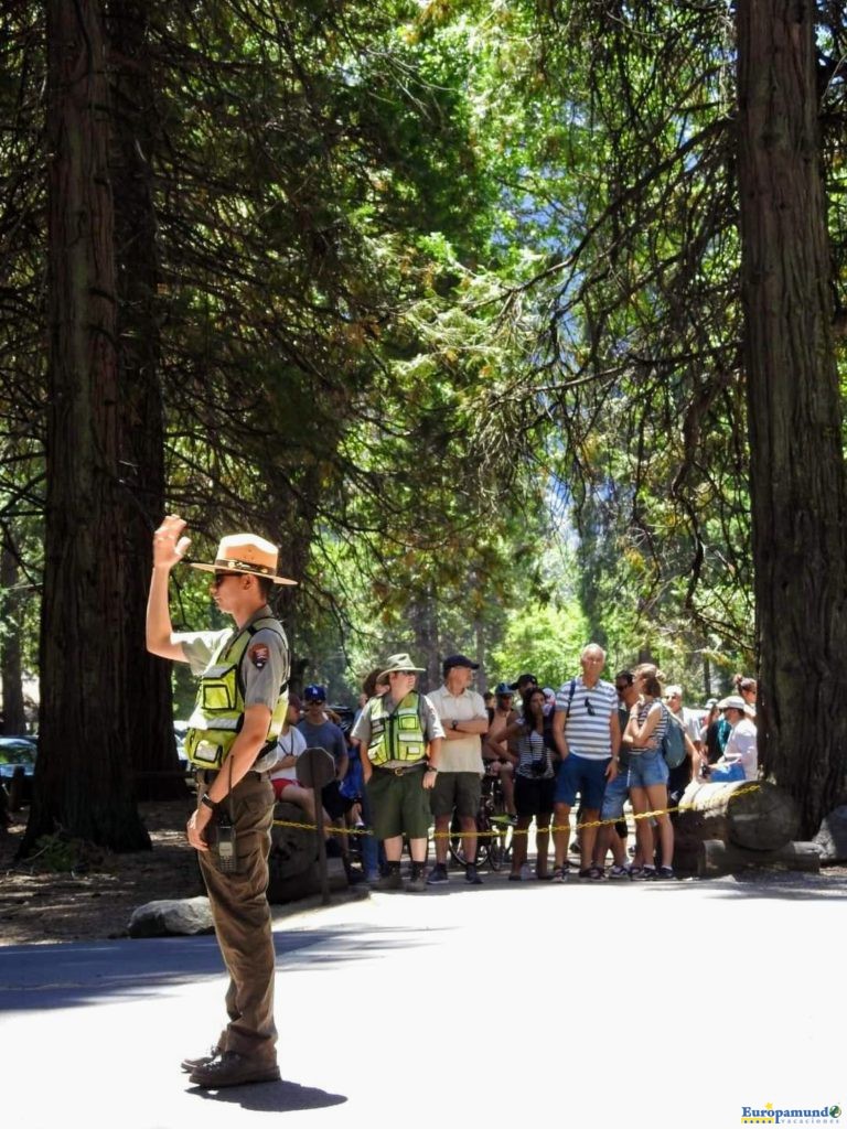 Parque Nacional Yosemite.