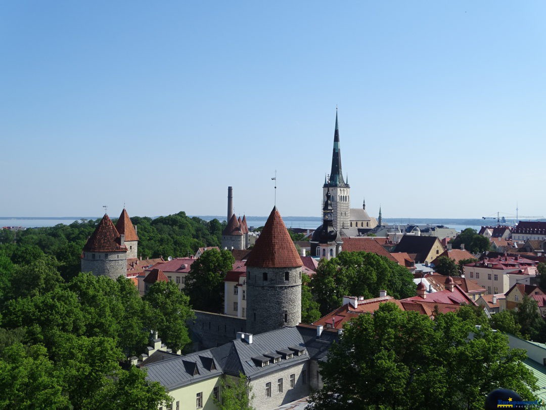 Ciudad de Tallin desde mirador