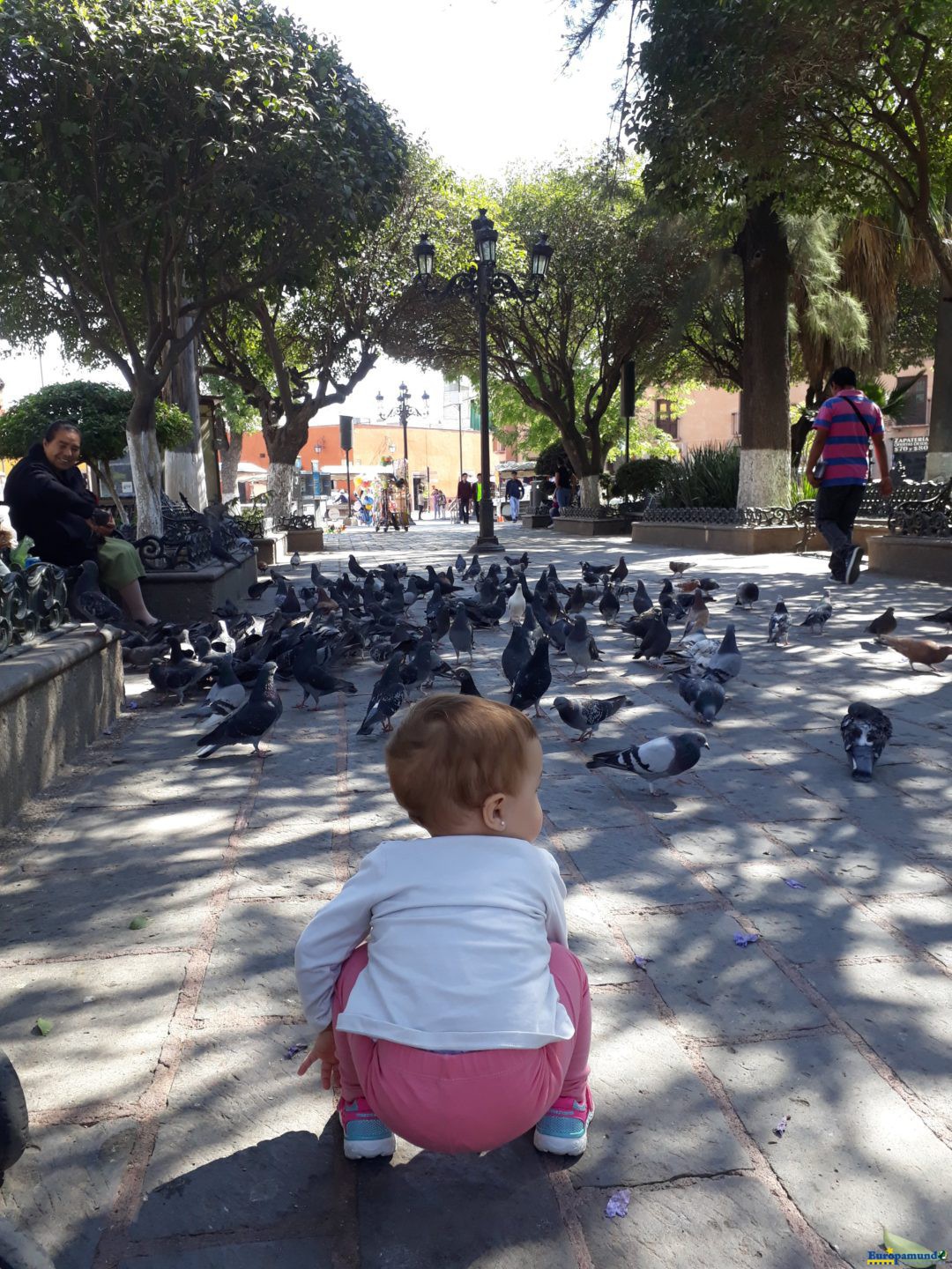 EN LAS PLAZA DE HIDALGO