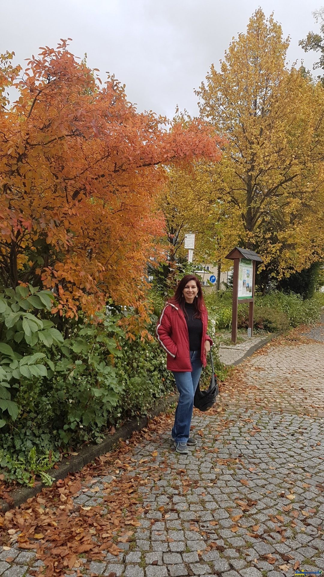 hermoso otoño en Alemania.