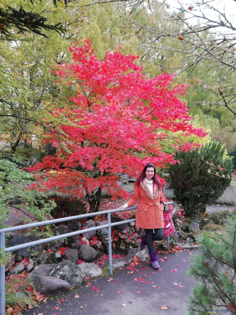 Mainau ,Isla de las flores.