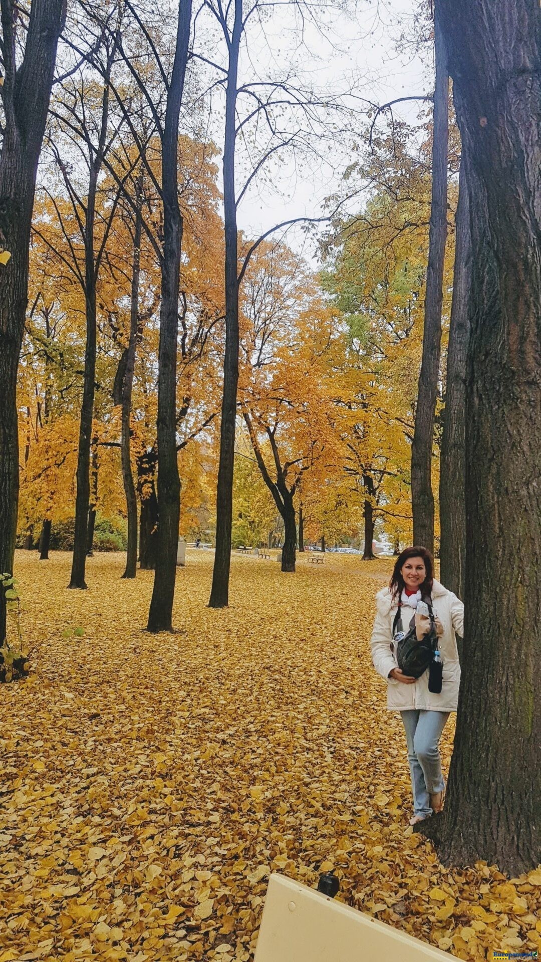 hermoso otoño polaco ,Varsovia.