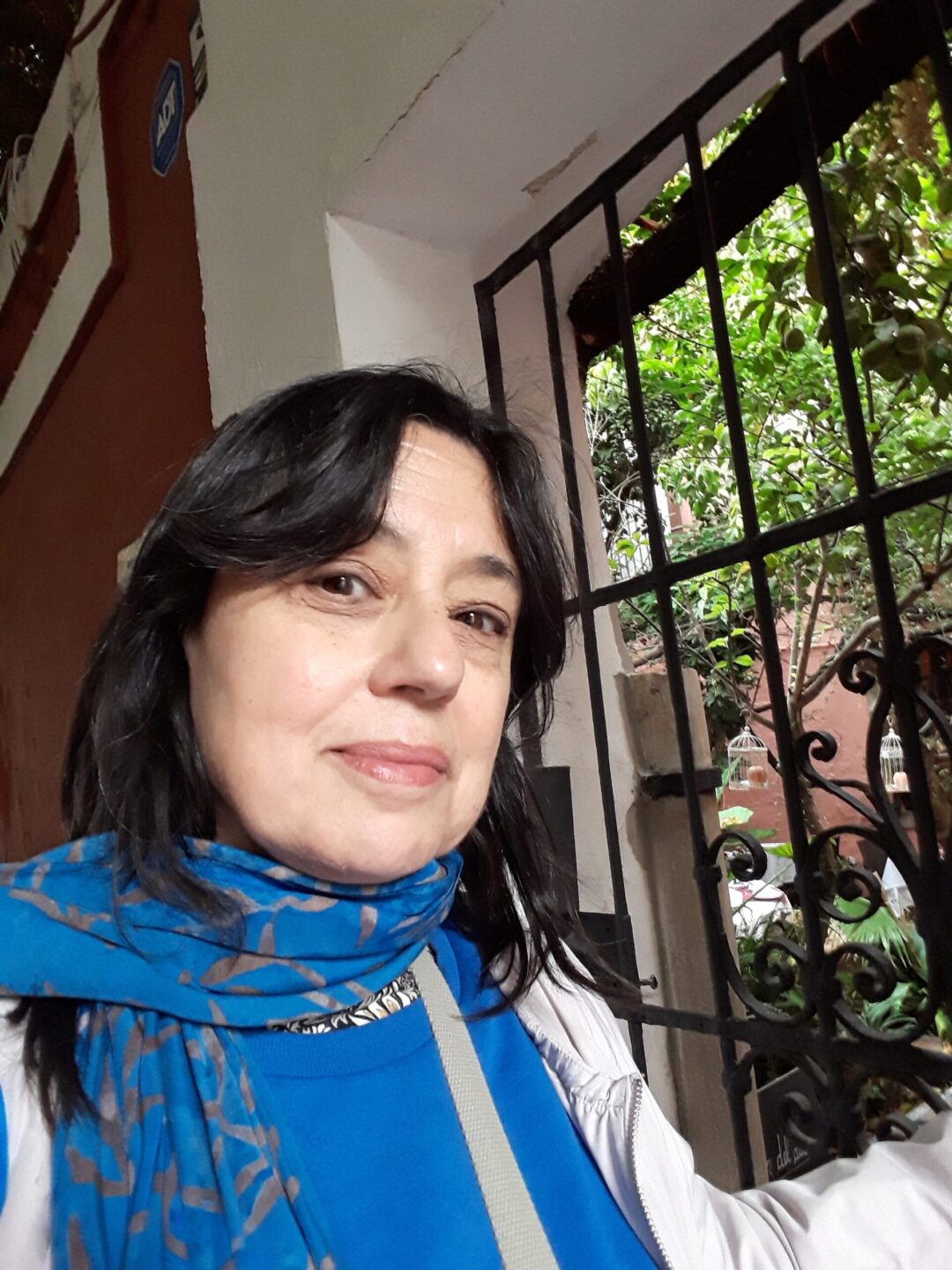 Reja a patio sevillano.