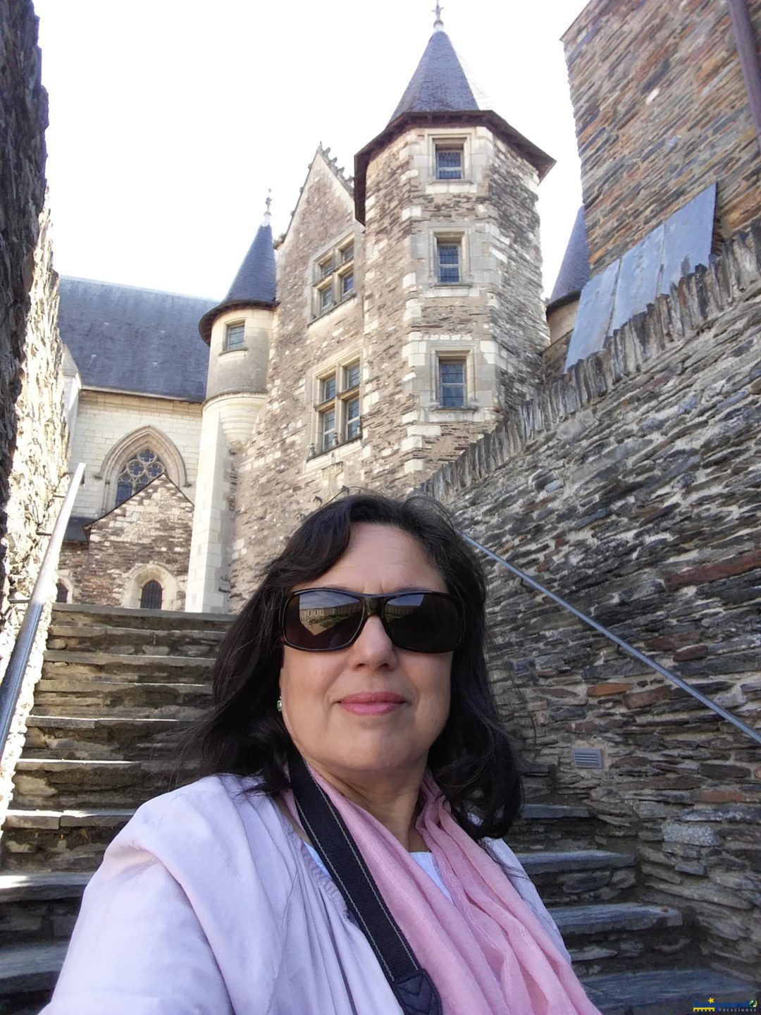 Castillo de Angers.