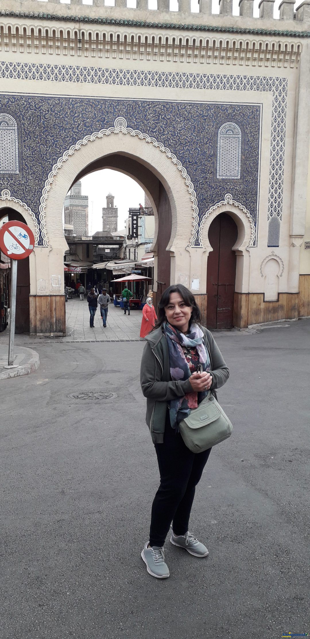 Puerta de la medina de Fez