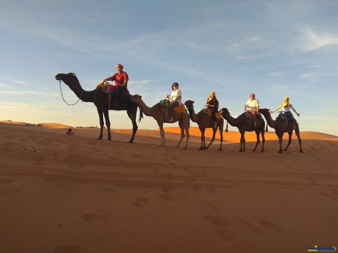 camellos y desierto
