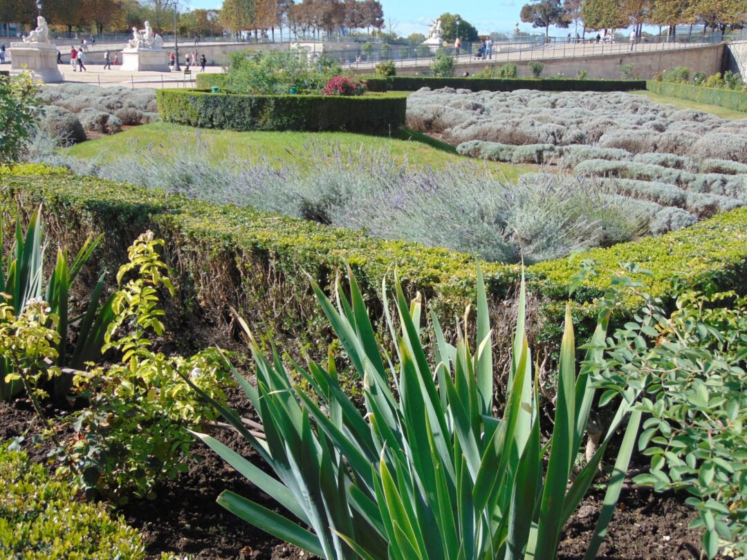 Jardins de lesTulleries