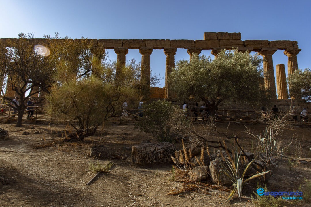 valle de los templos
