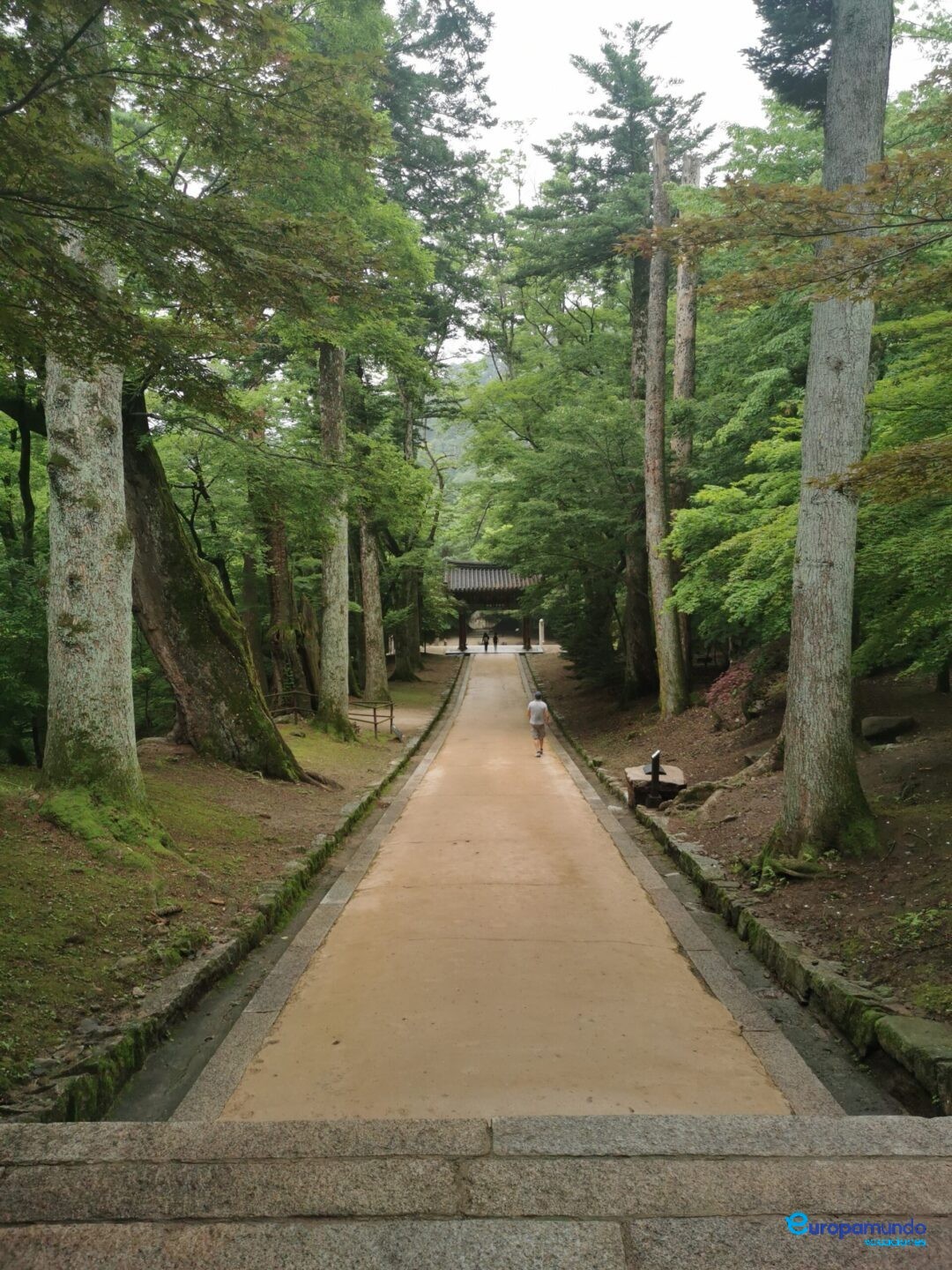 En equilibrio con la naturaleza.