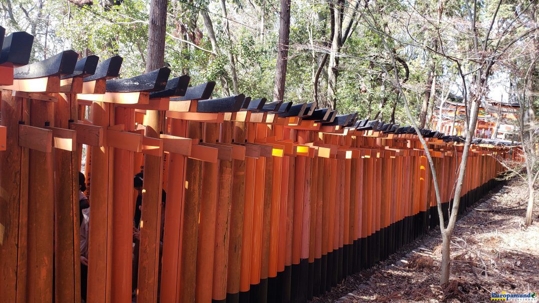 Senbon tori