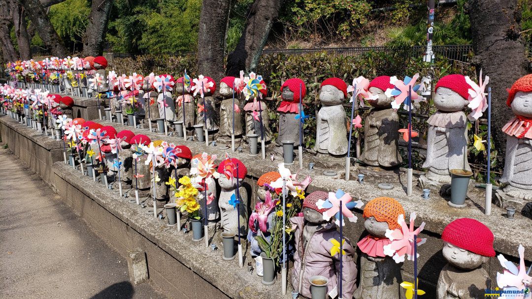 Jinzo en el templo de Zojoji