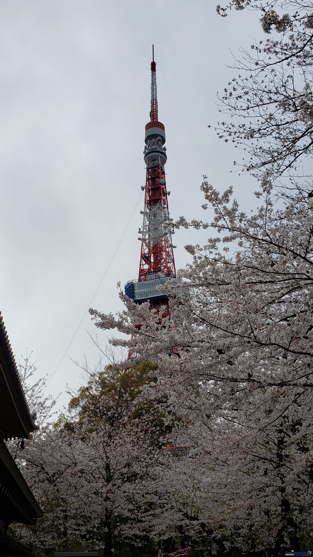 Tokio tower