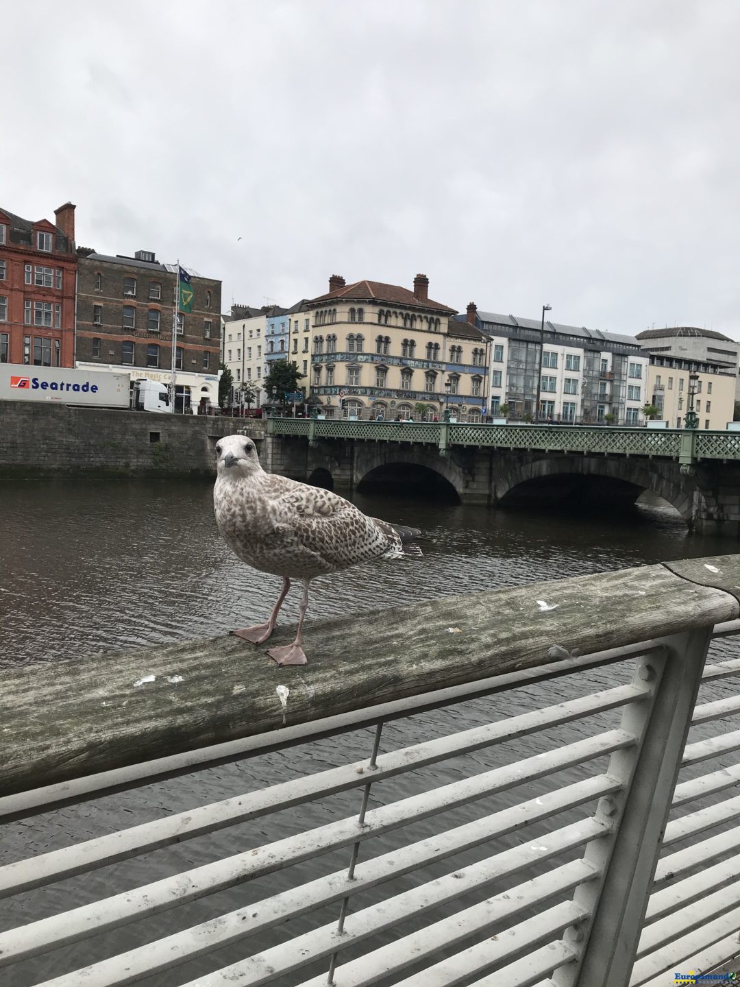 De paseo por Dublin