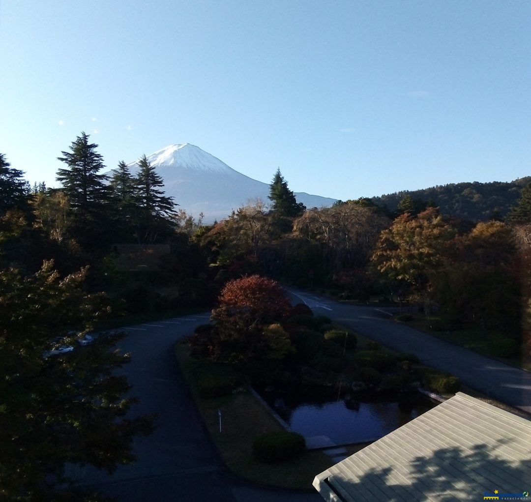 Nuestra vista en el desayuno