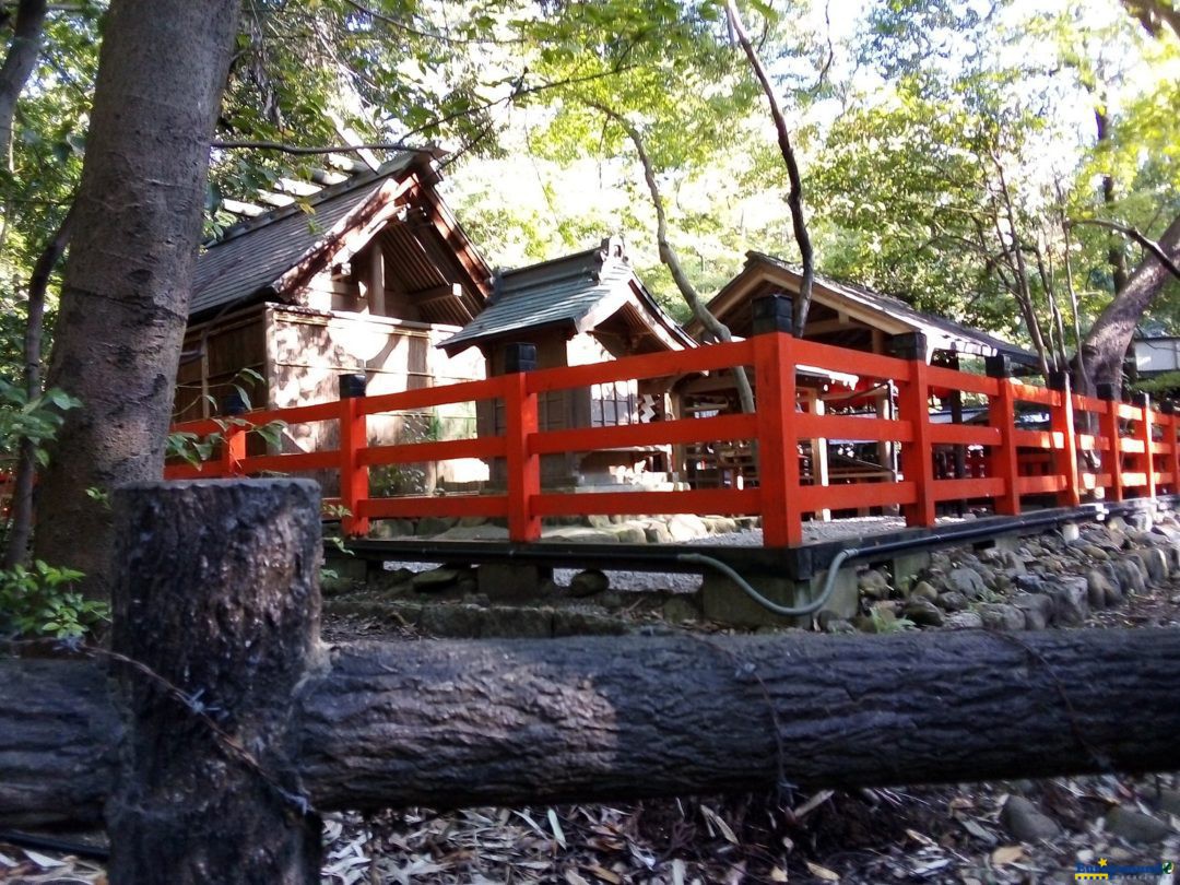 Cerca naranja en Tenryuji