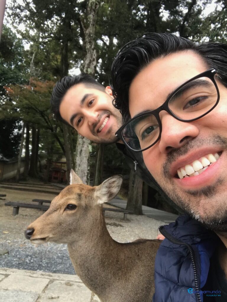 Cervatillo y humanos