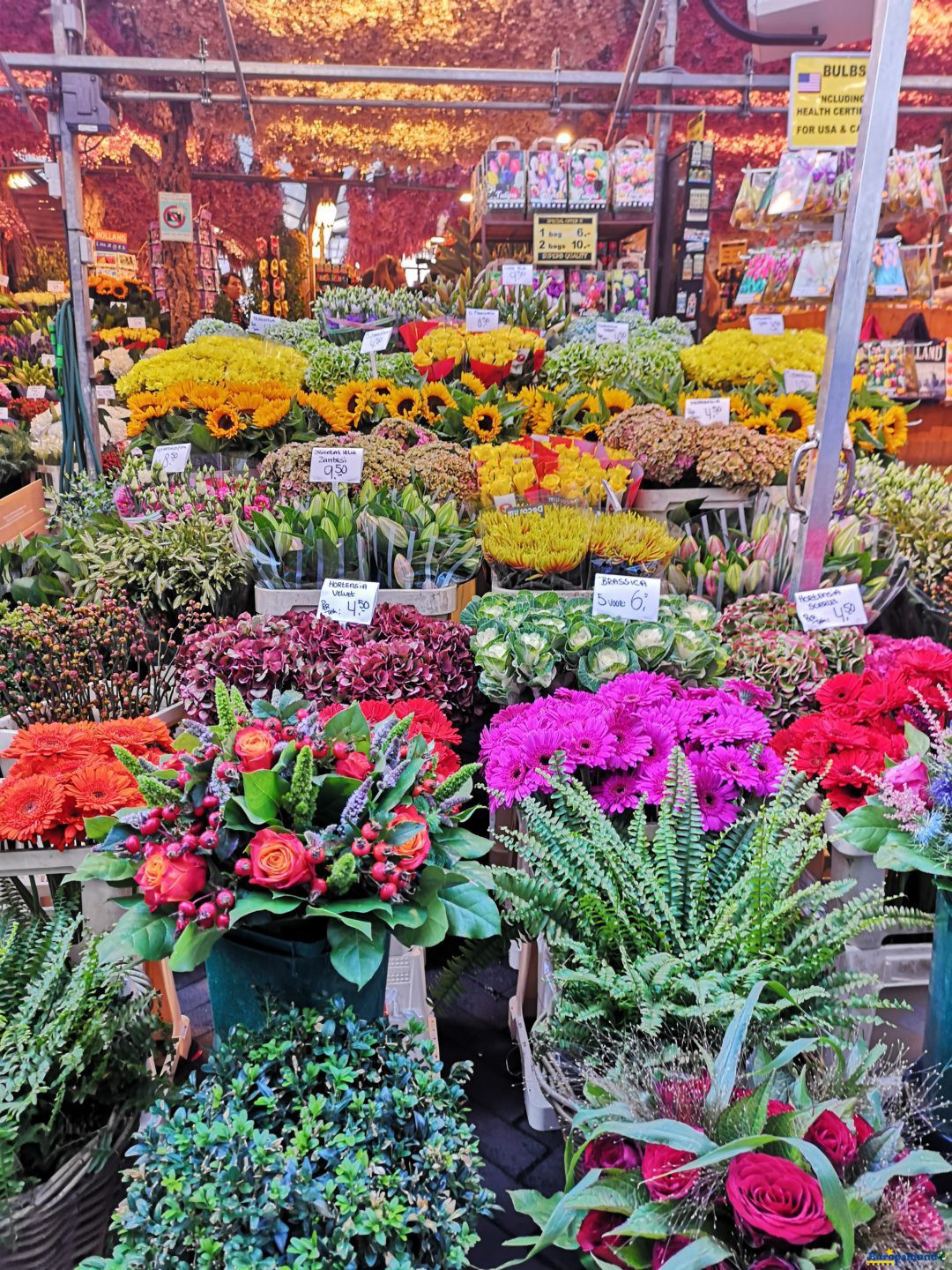 Mercado de las Flores en Amsterdam