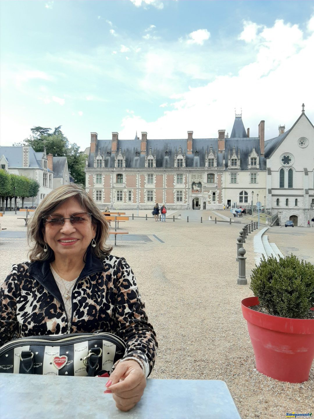 El Castillo de Blois