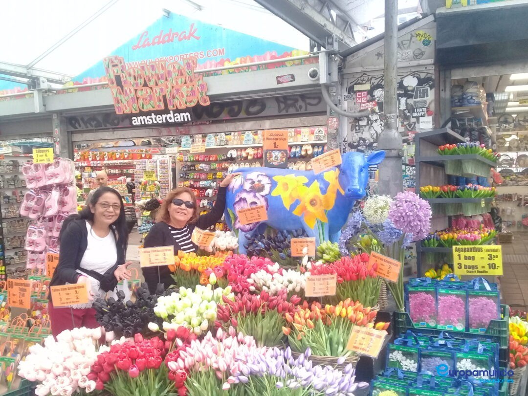 Tiendas de souvenires