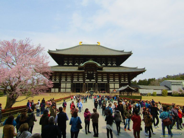 Primavera en el Templo Todai-ji de Nara