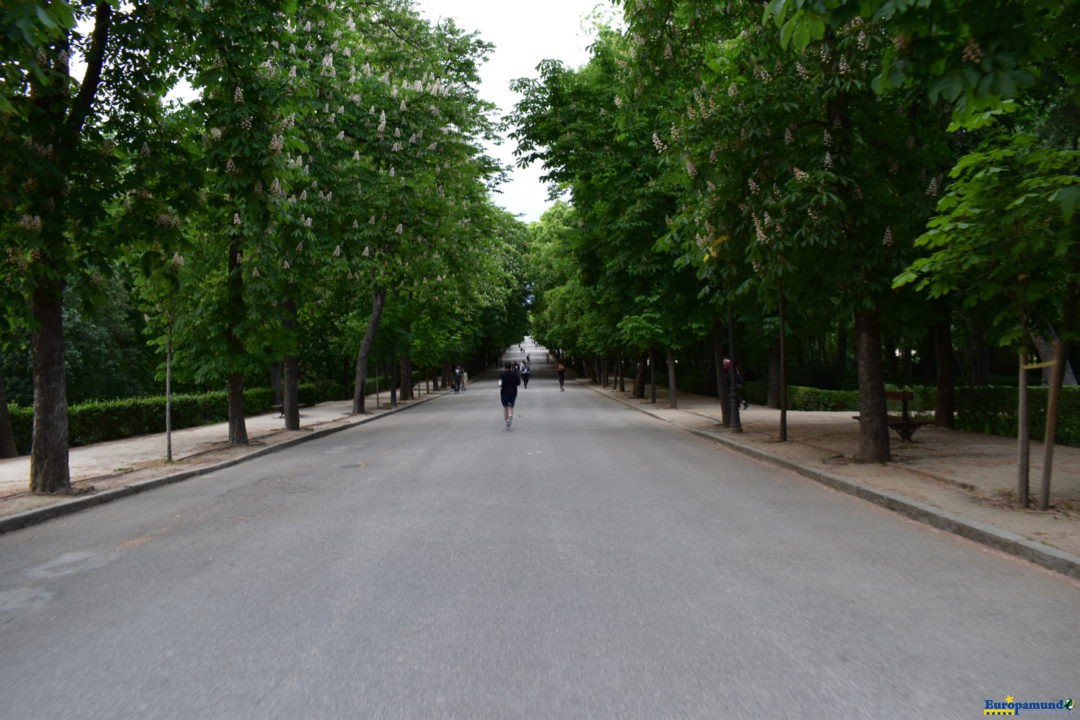 camino parque el retiro