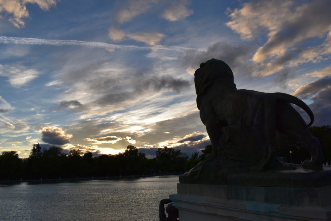 león parque el retiro