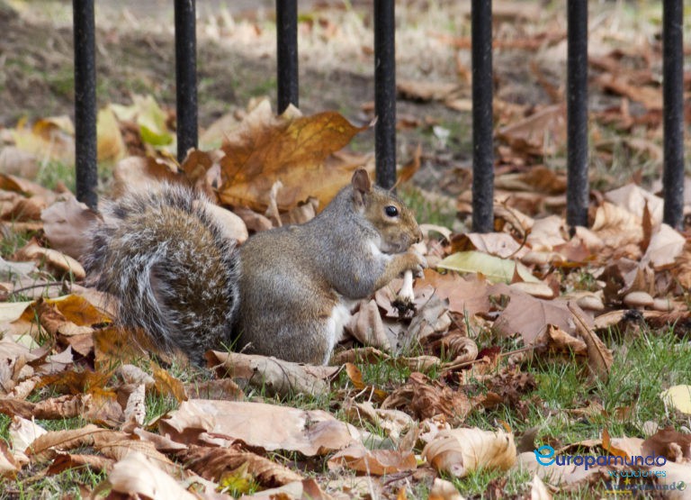 Dejadme comer tranquilo
