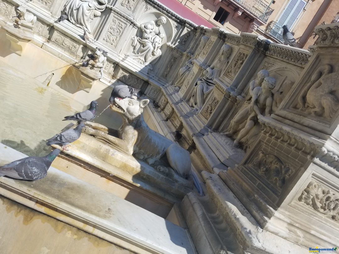 Palomas esperando su turno en la Fuente Gaia