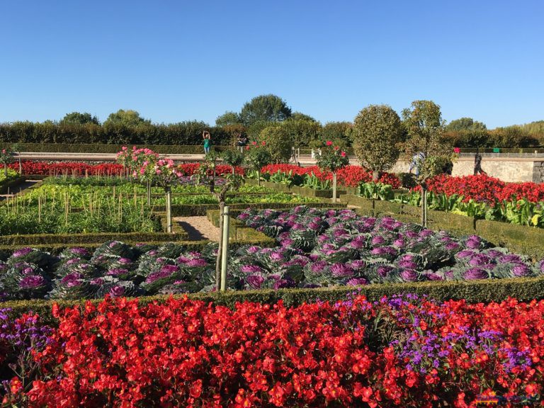 Jardines del Castillo de Villandry