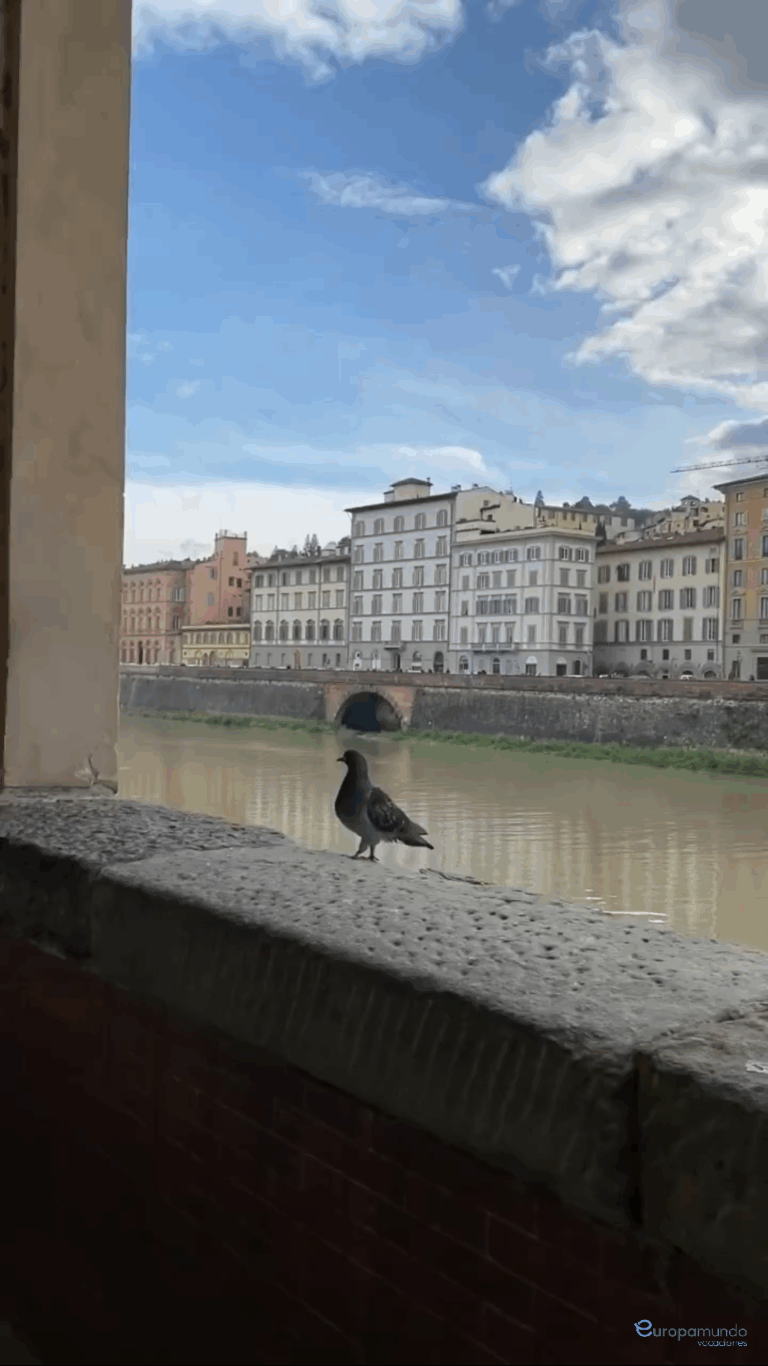 Florencia es admirada por todos