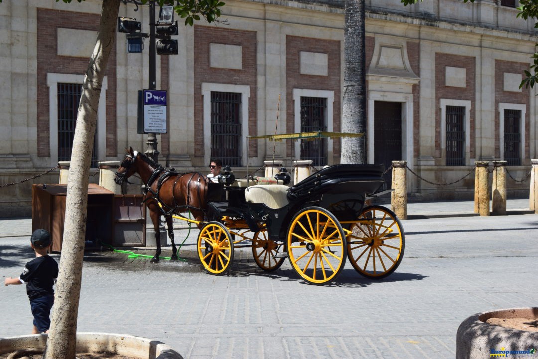 Sevilla centro