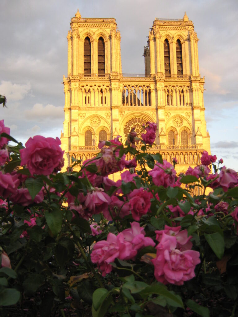 Una verdadera joya iluminada.